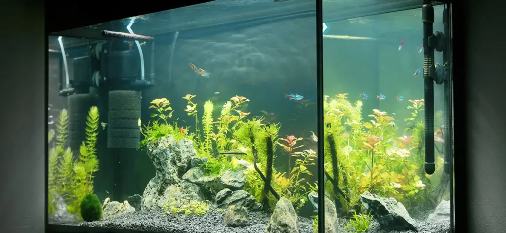 Aquarium mit Innenfilter